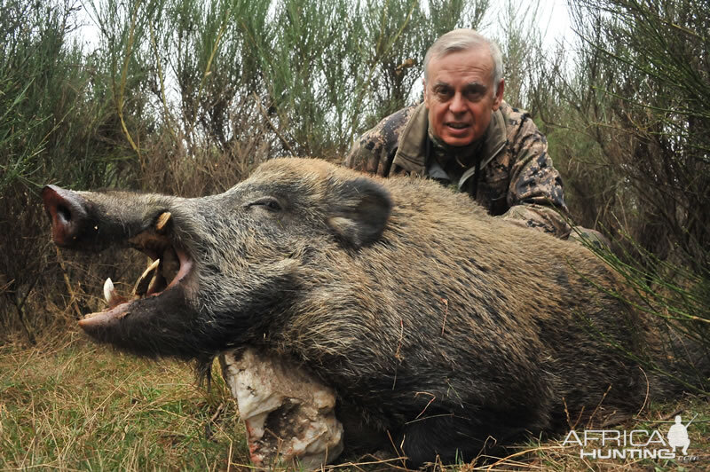 Hunting Wild Boar France
