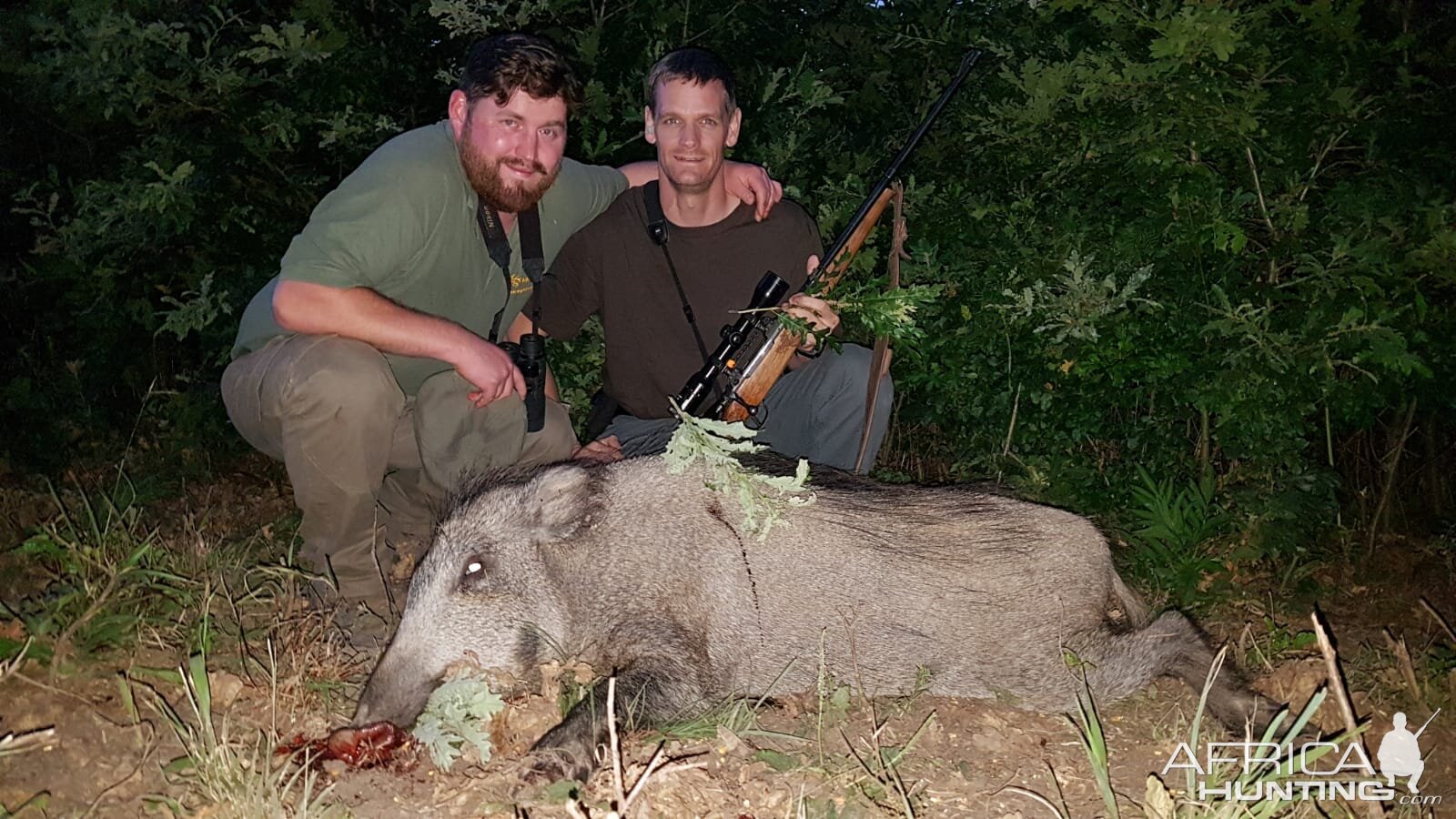Hunting Wild Boar in Hungary