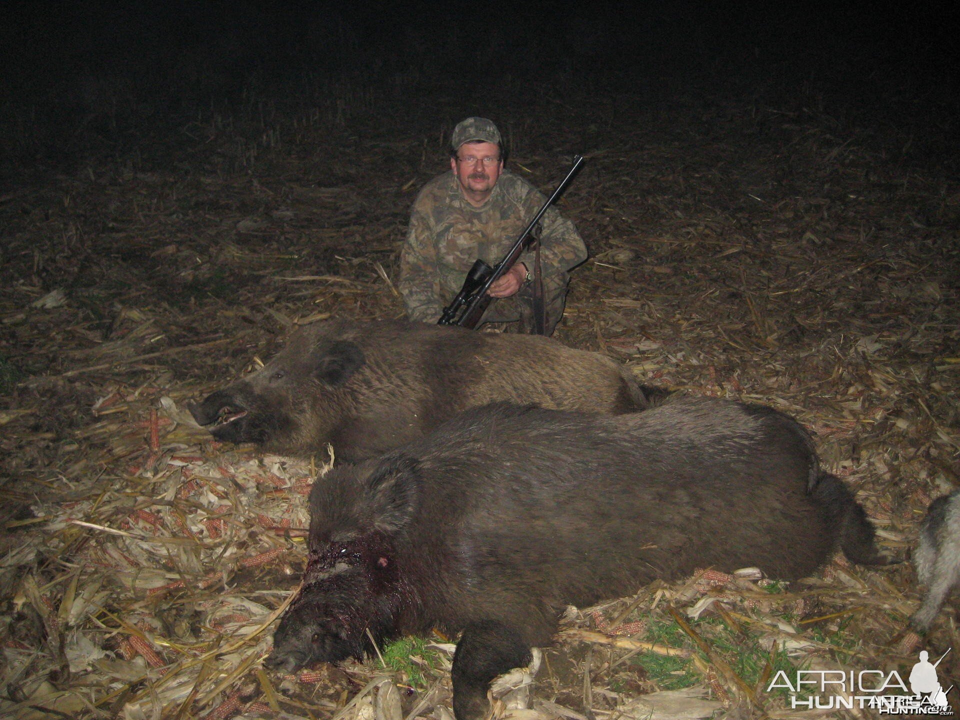 Hunting Wild Boars