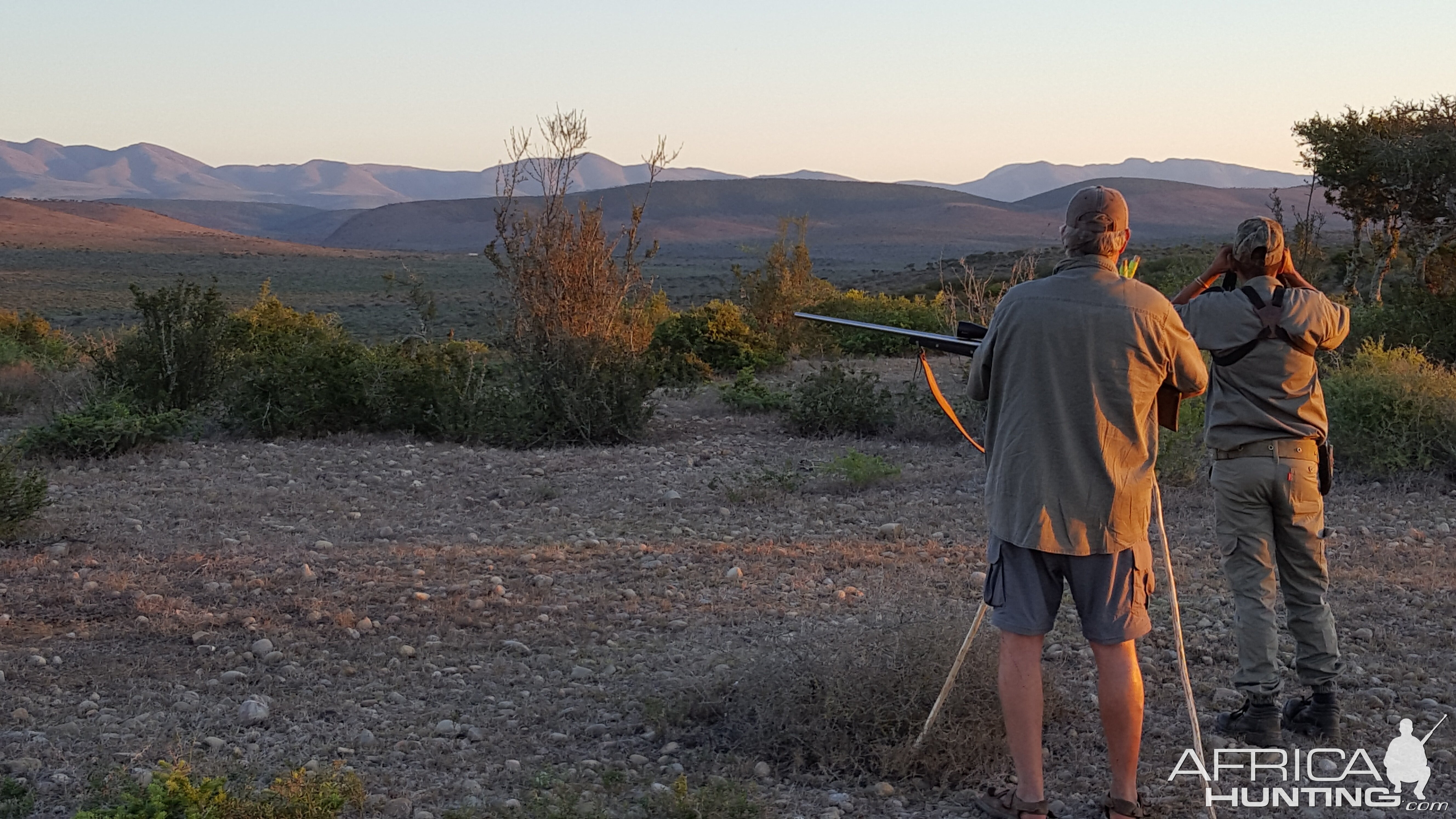 Hunting with Shooting Stick & Glassing Game