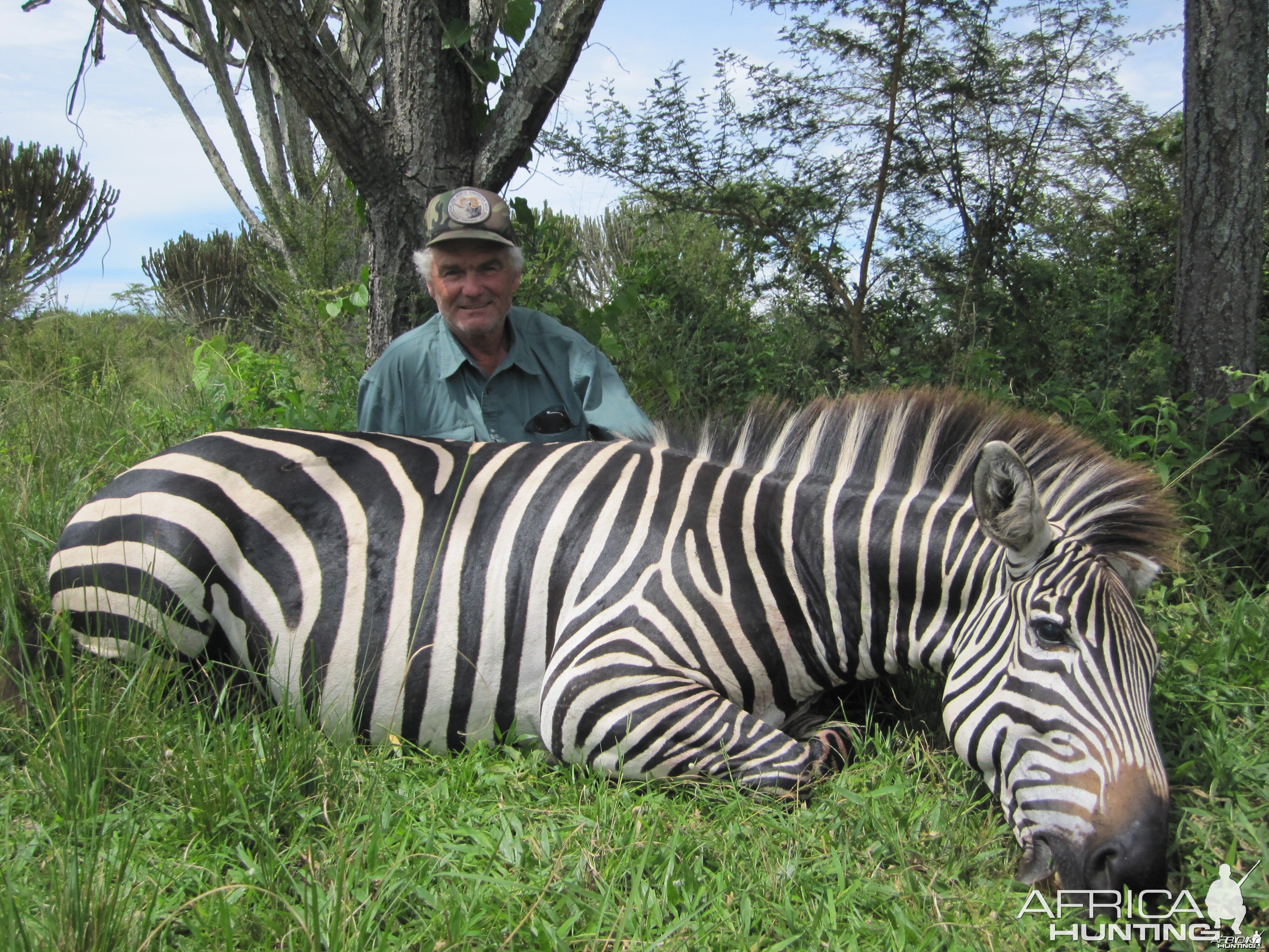 Hunting Zebra Uganda