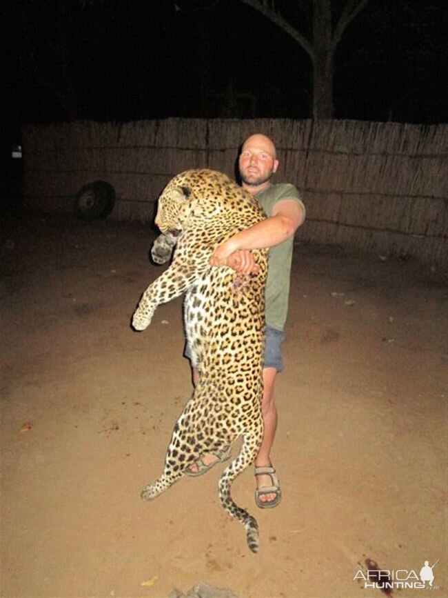Hunting Zimbabwe Leopard
