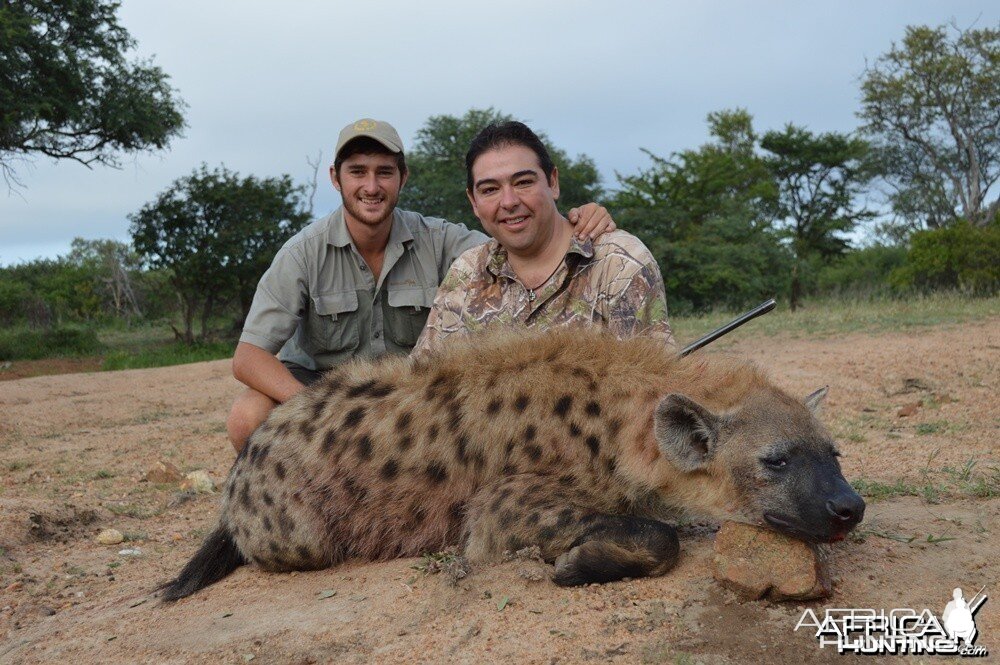 Hyena with Savanna Hunting Safari's
