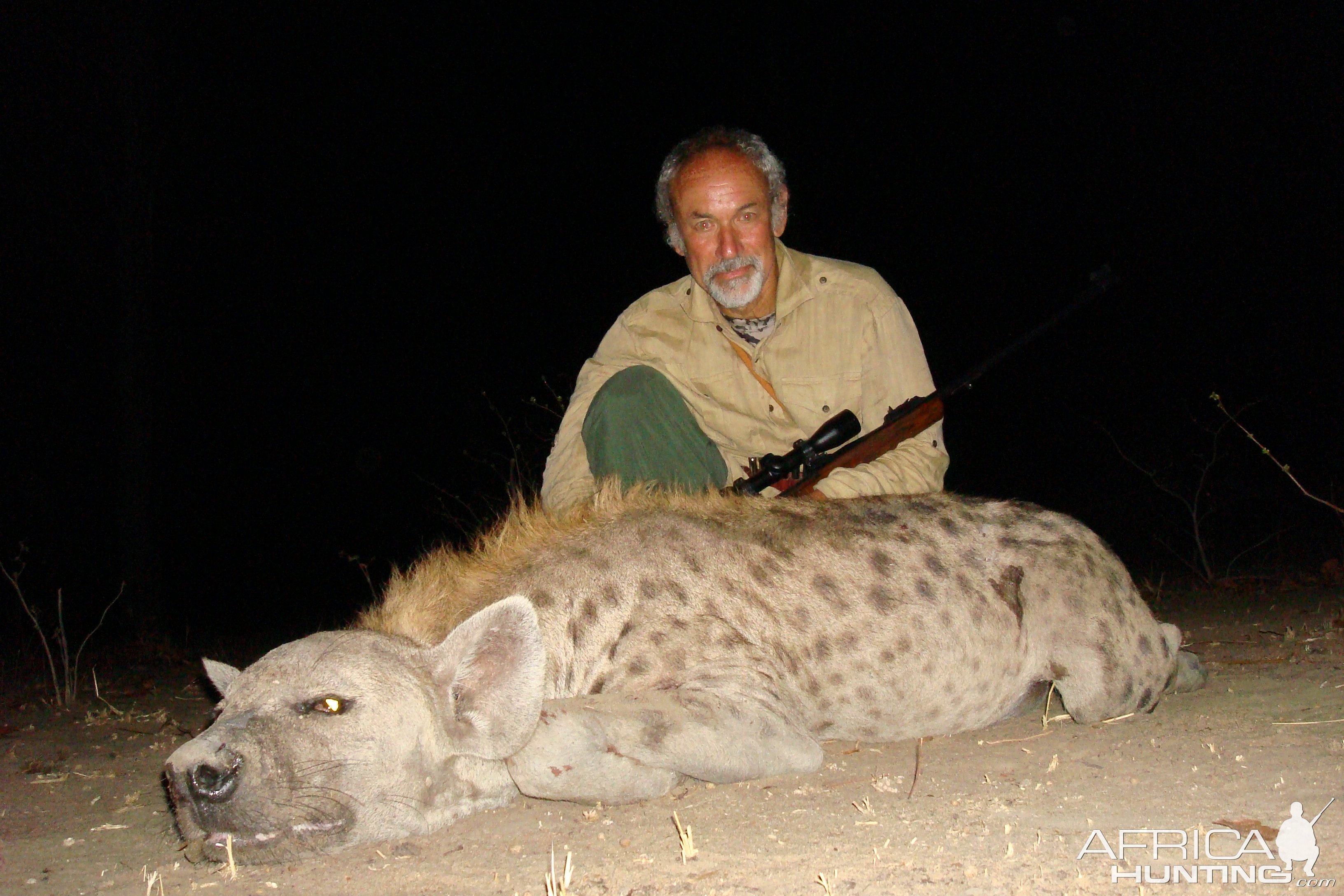 Hyena