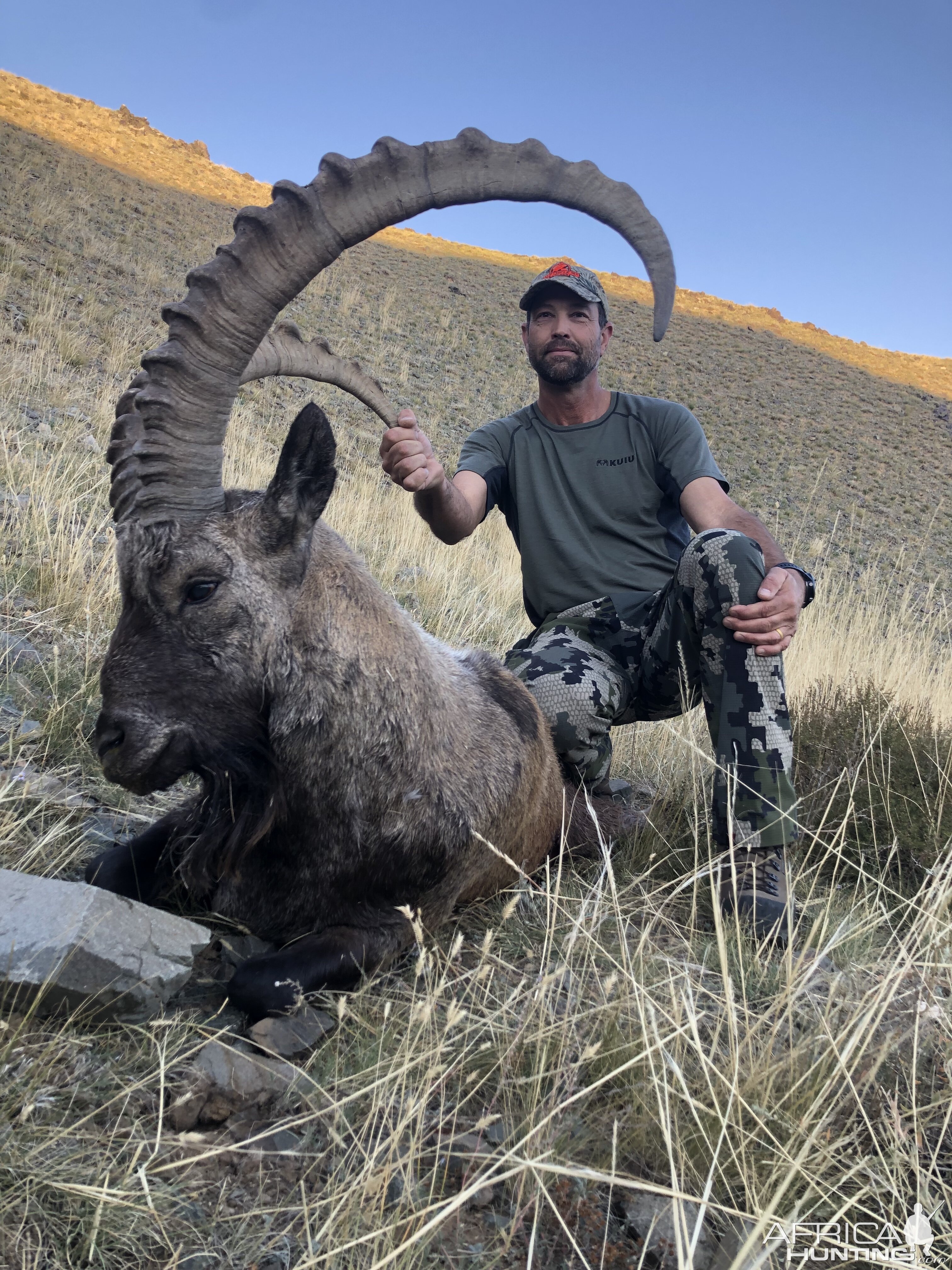 Ibex Hunt Mongolia