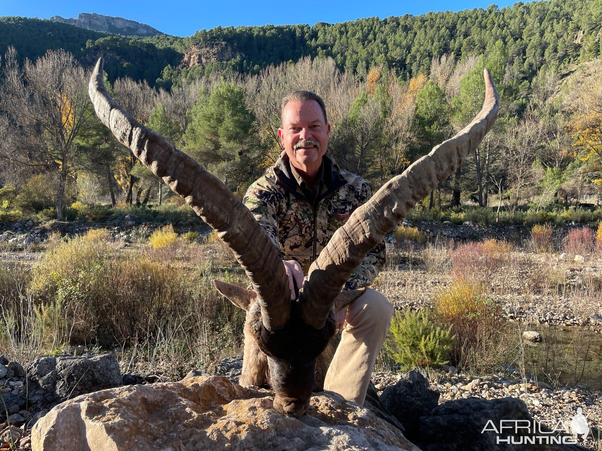 Ibex Hunting Beceite Spain