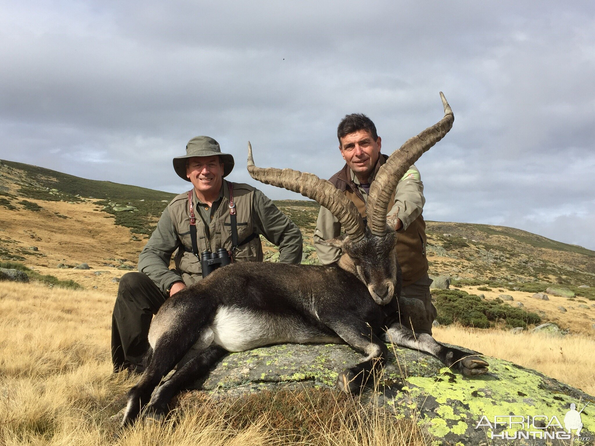 Ibex Hunting Spain