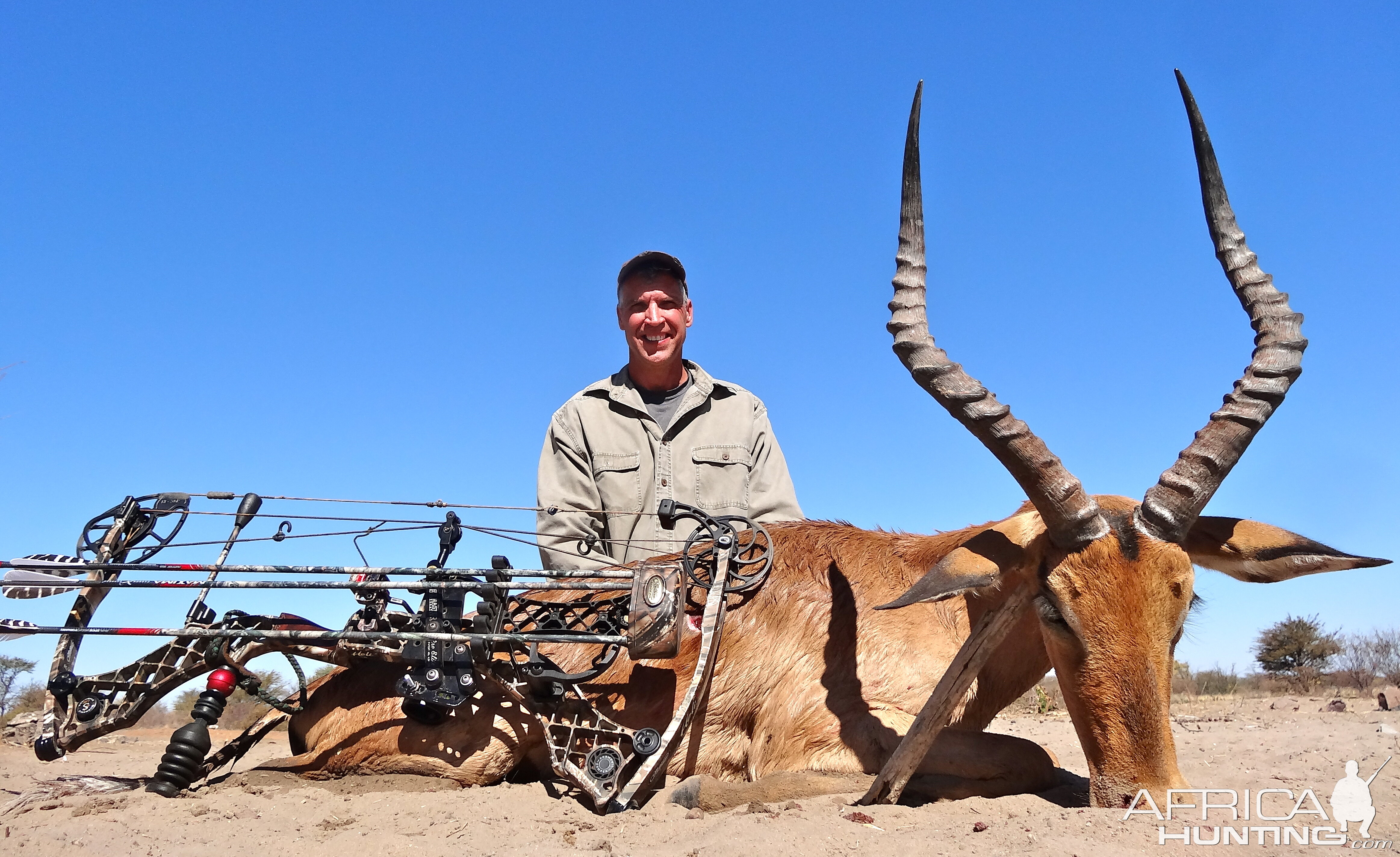 Impala Botswana 2013