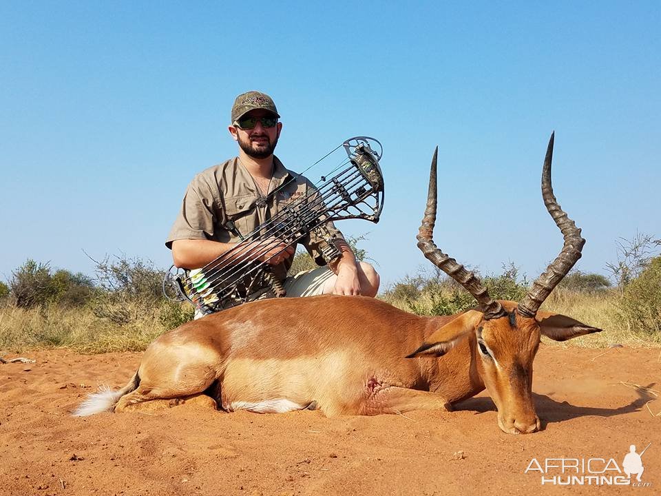 Impala Bow Hunt South Africa