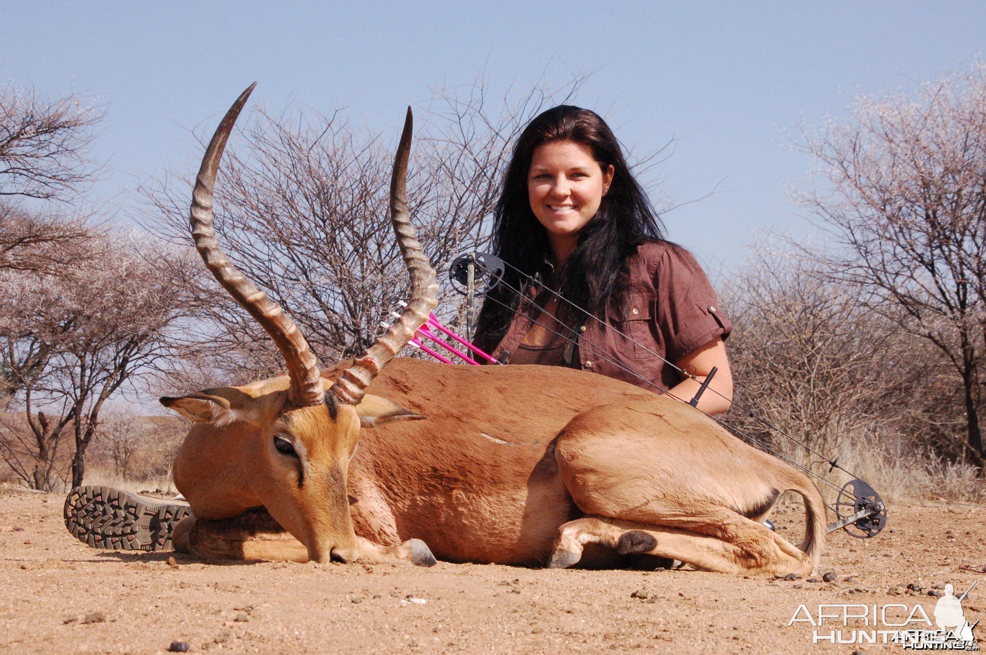 Impala bow hunted in Namibia