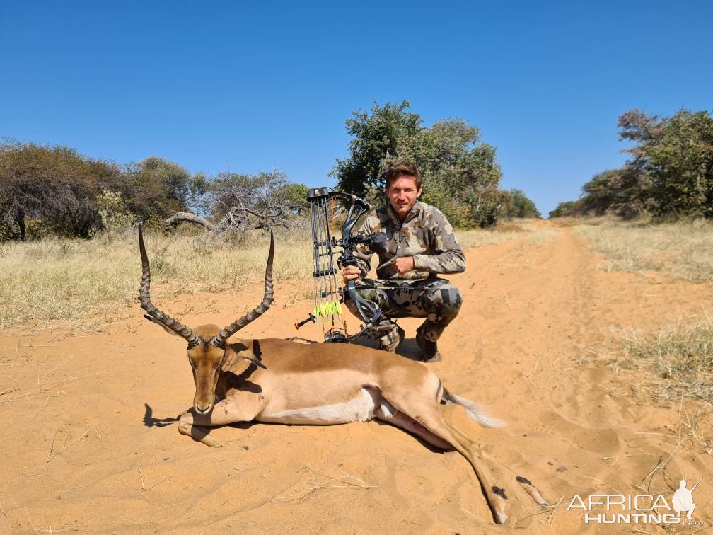 Impala Bow Hunting Namibia