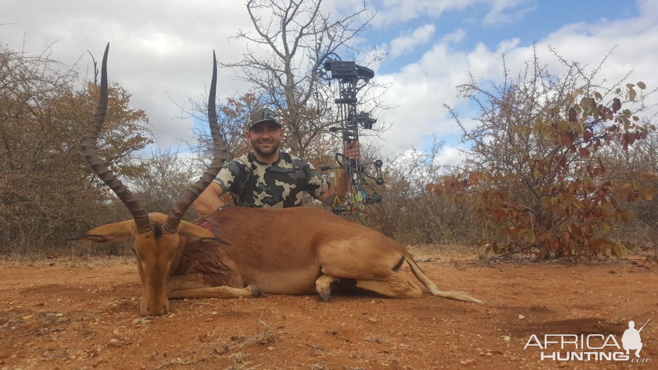 Impala Bow Hunting South Africa