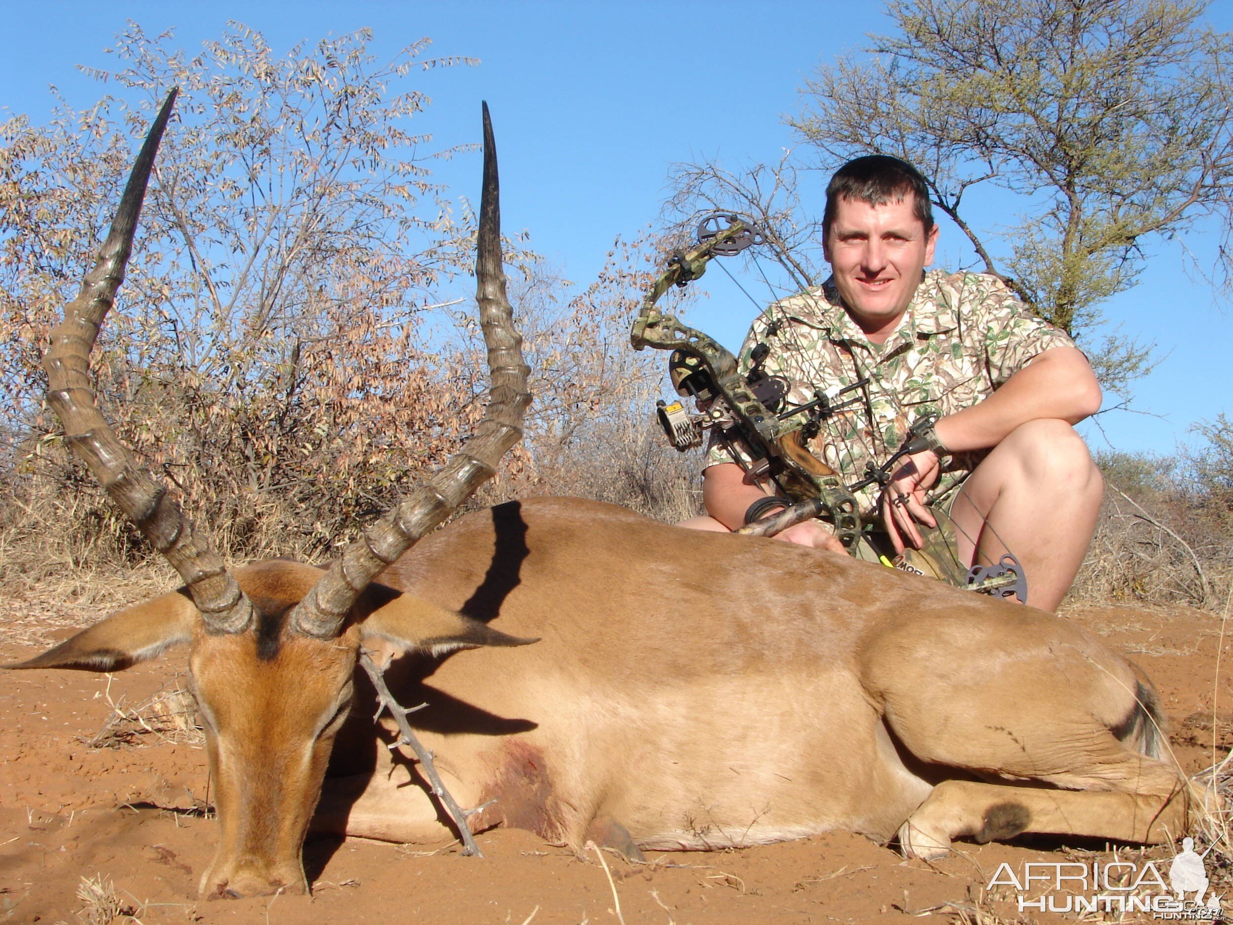 Impala Bow kill