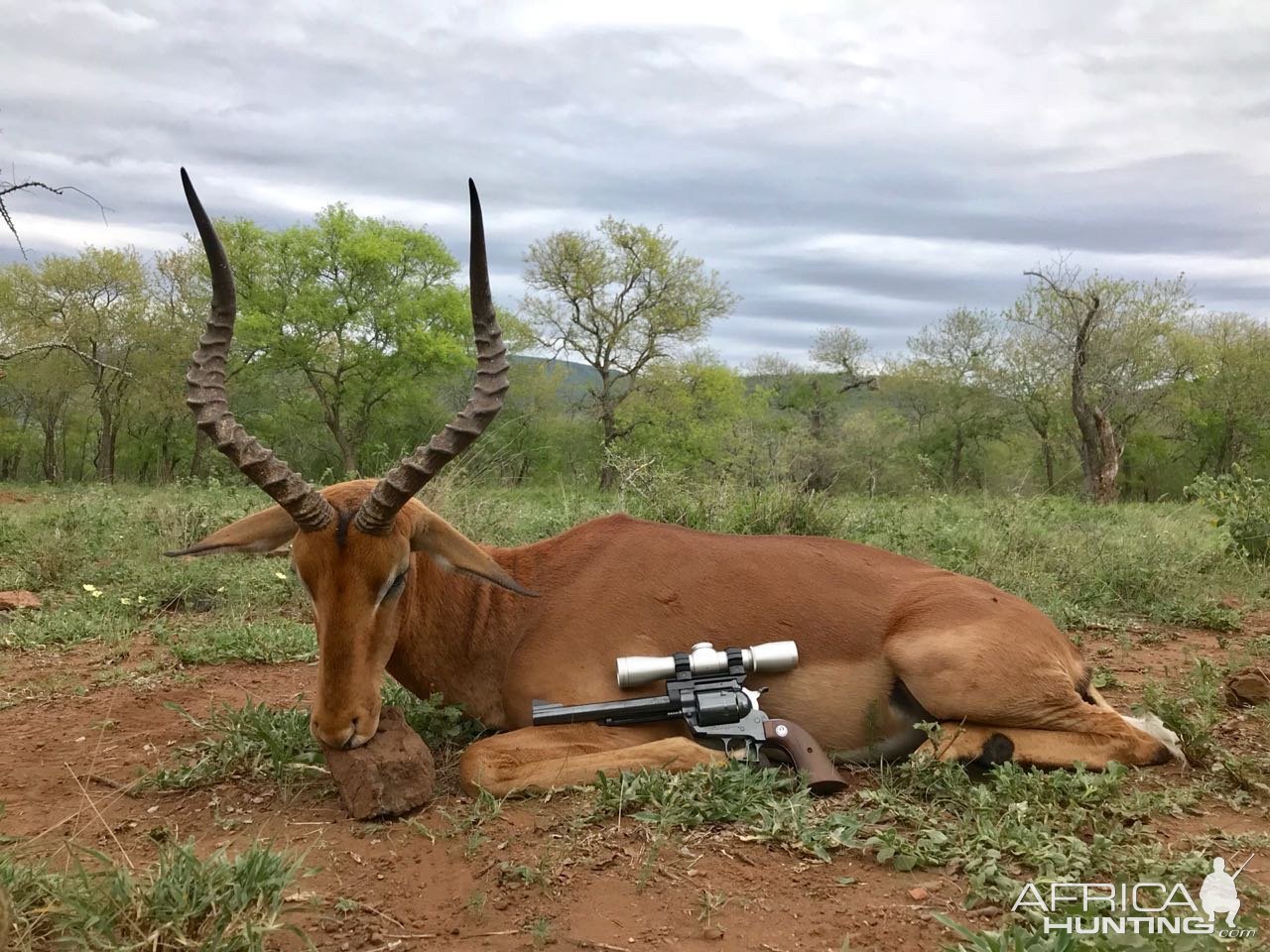 Impala Handgun Hunt