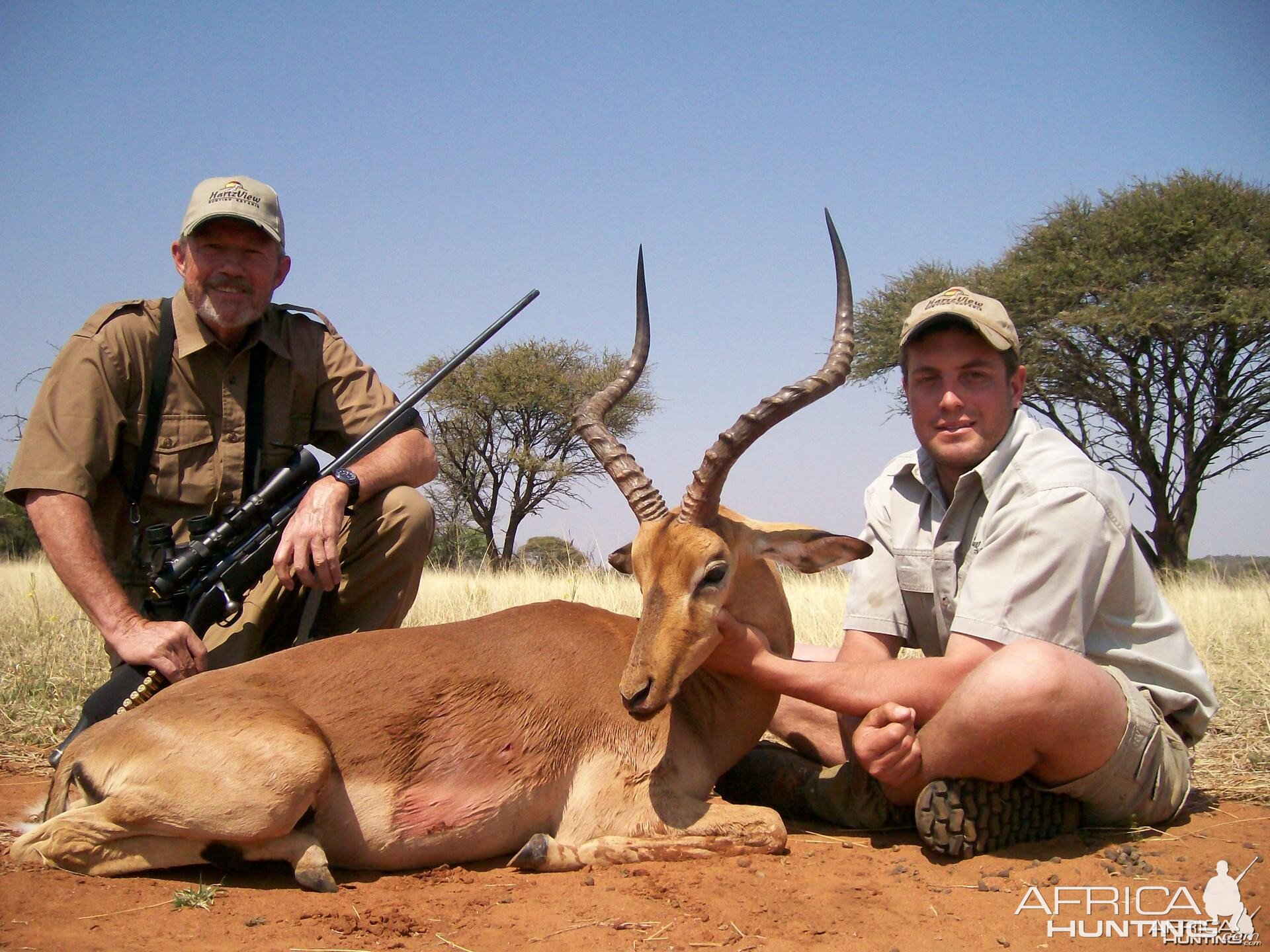 Impala Hunt at HartzView Hunting Safaris