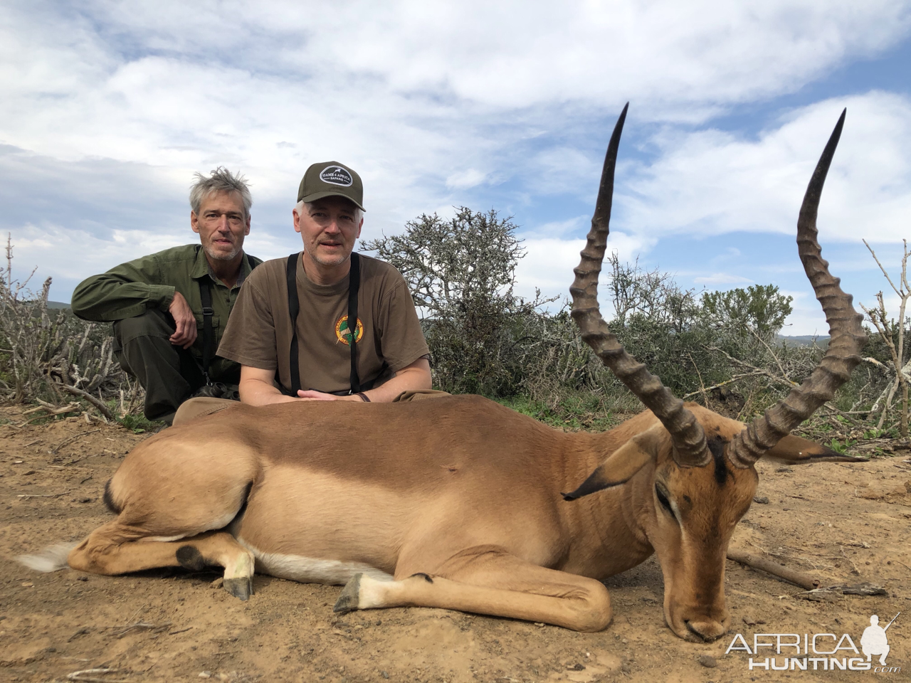 Impala Hunt  Eastern Cape South Africa