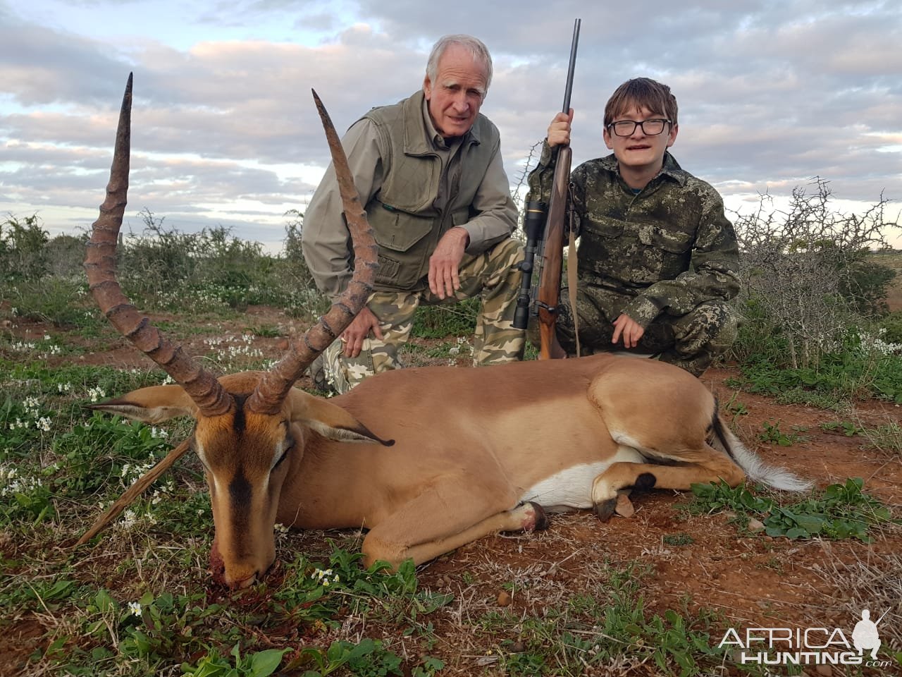 Impala Hunt Eastern Cape South Africa