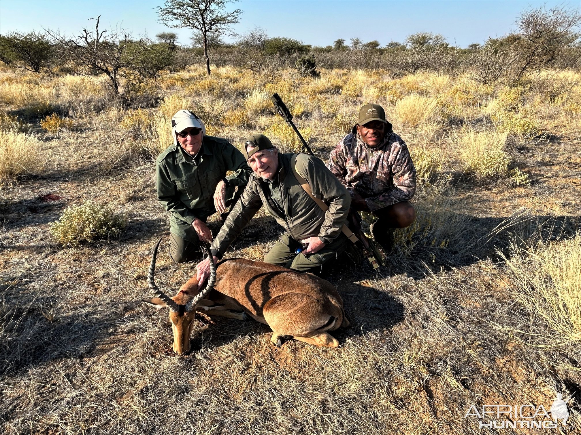 Impala Hunt Namibia