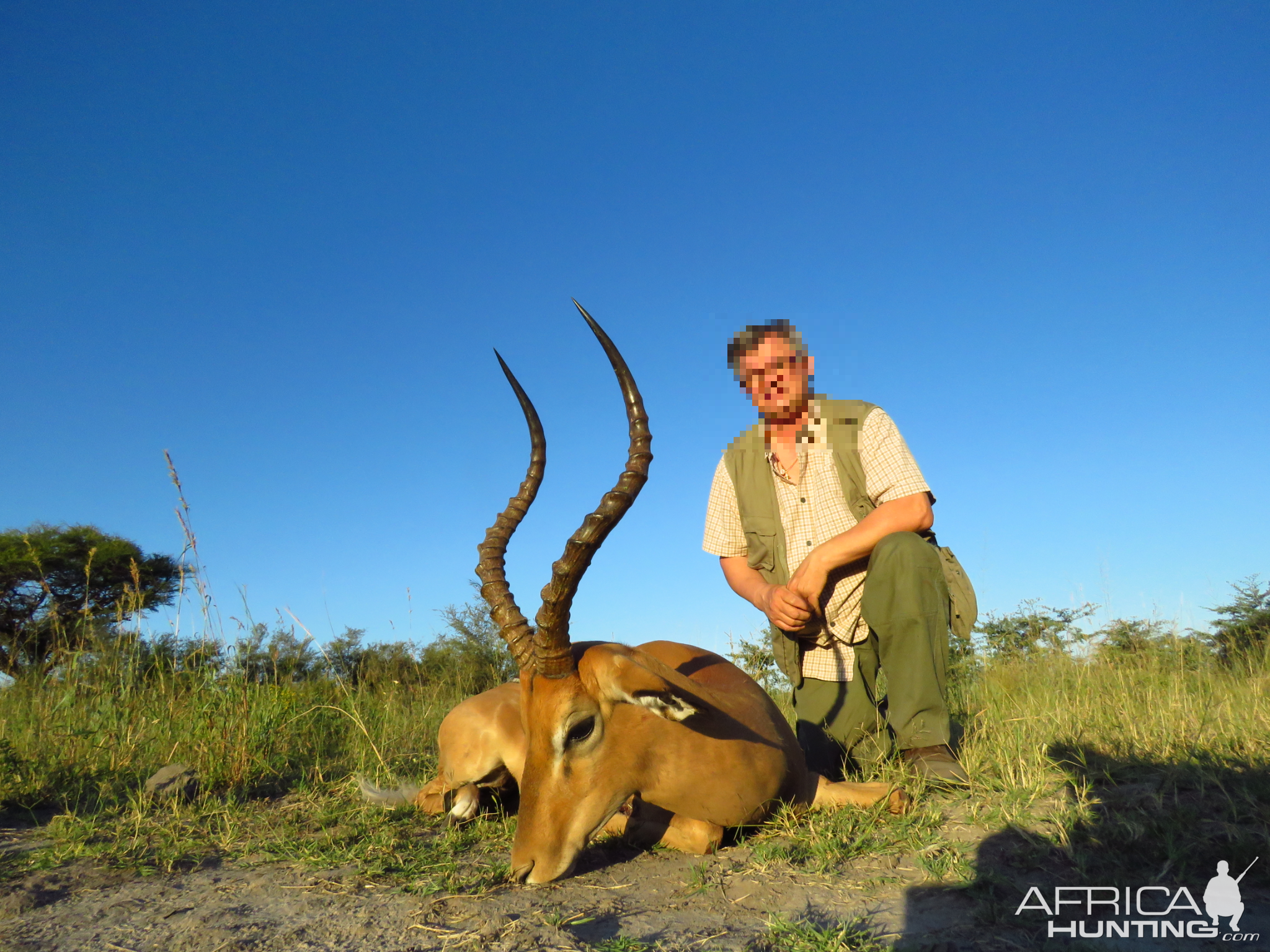 Impala Hunt Namibia