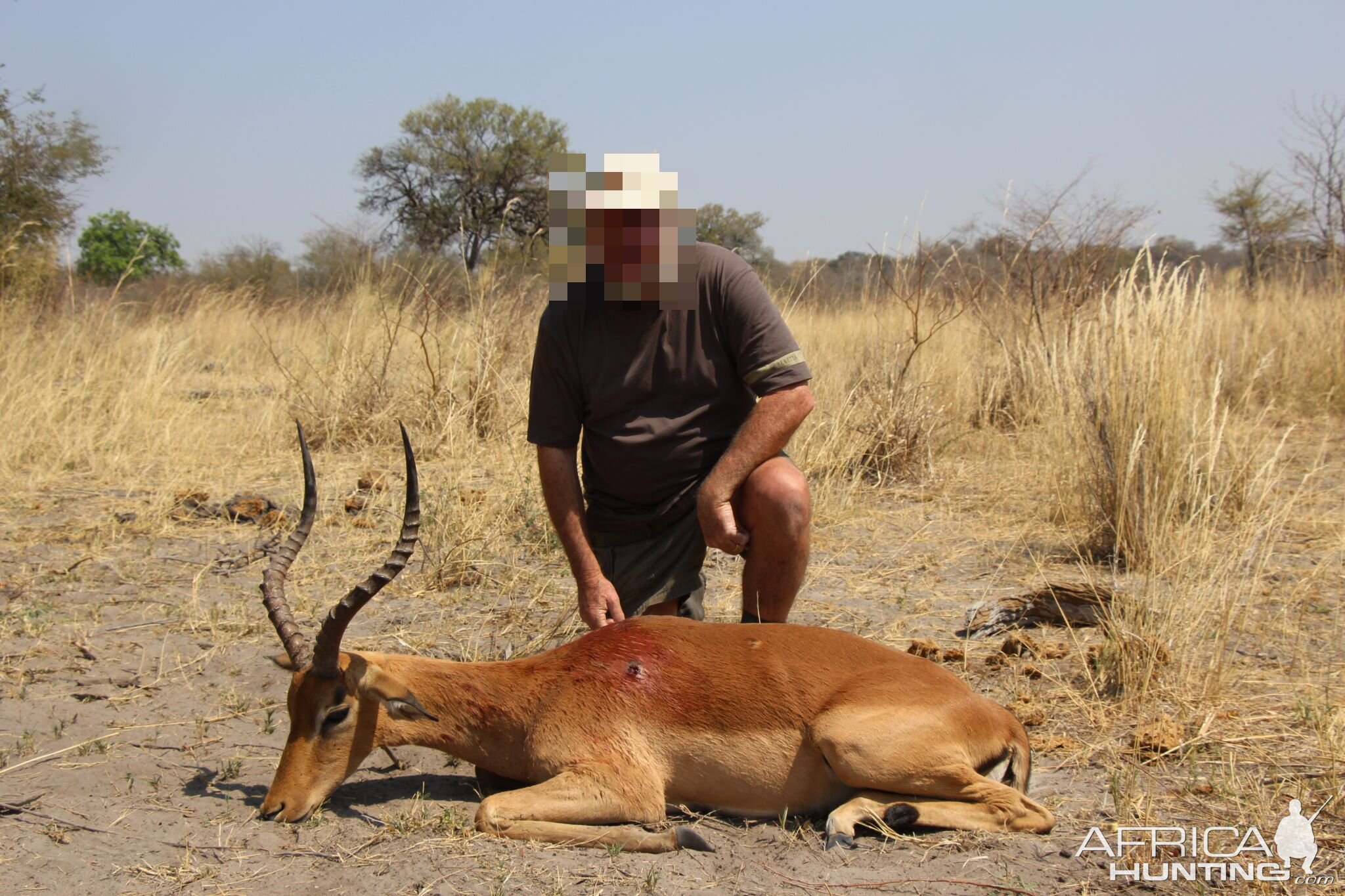 Impala Hunt Namibia