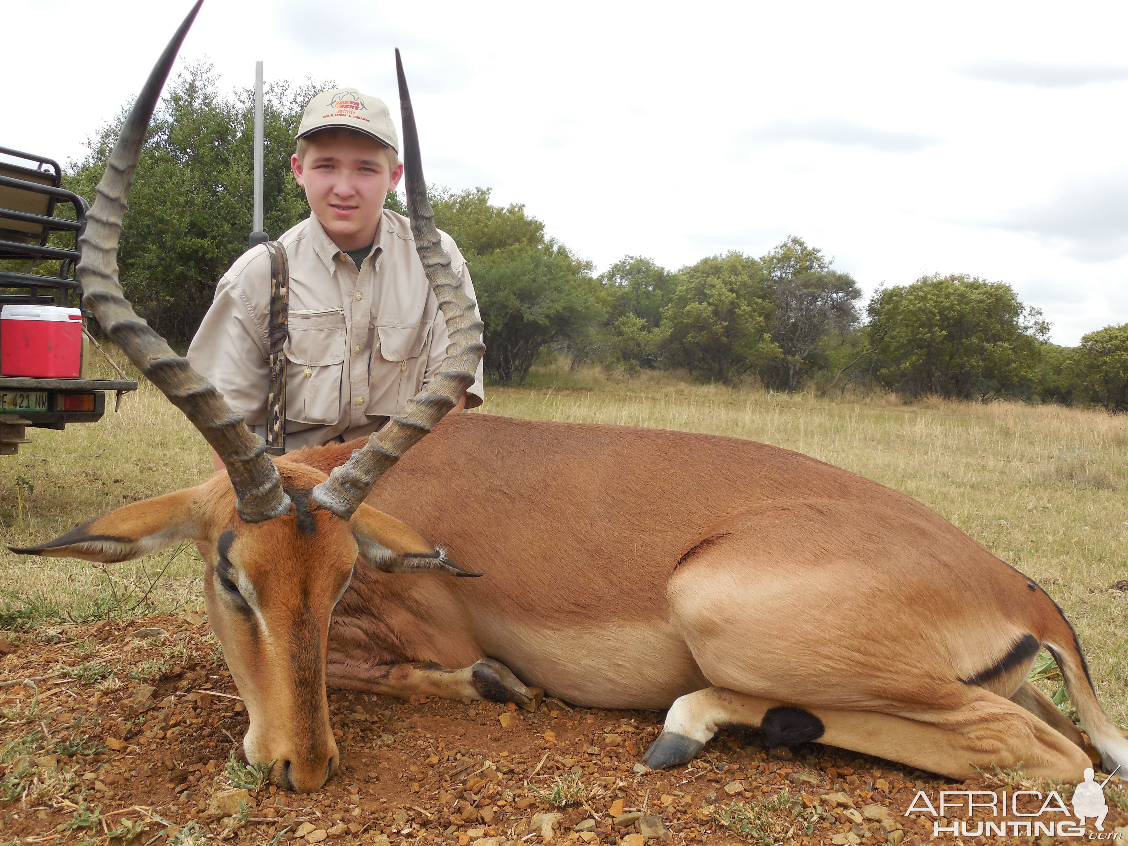 Impala Hunt South Africa