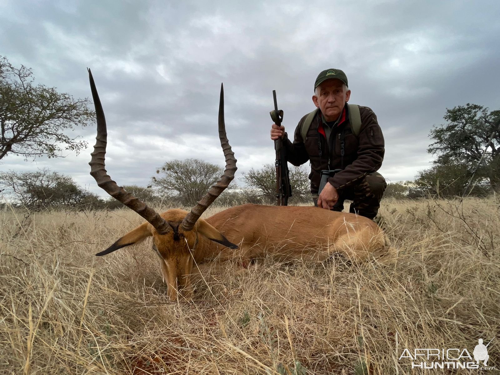 Impala Hunt South Africa