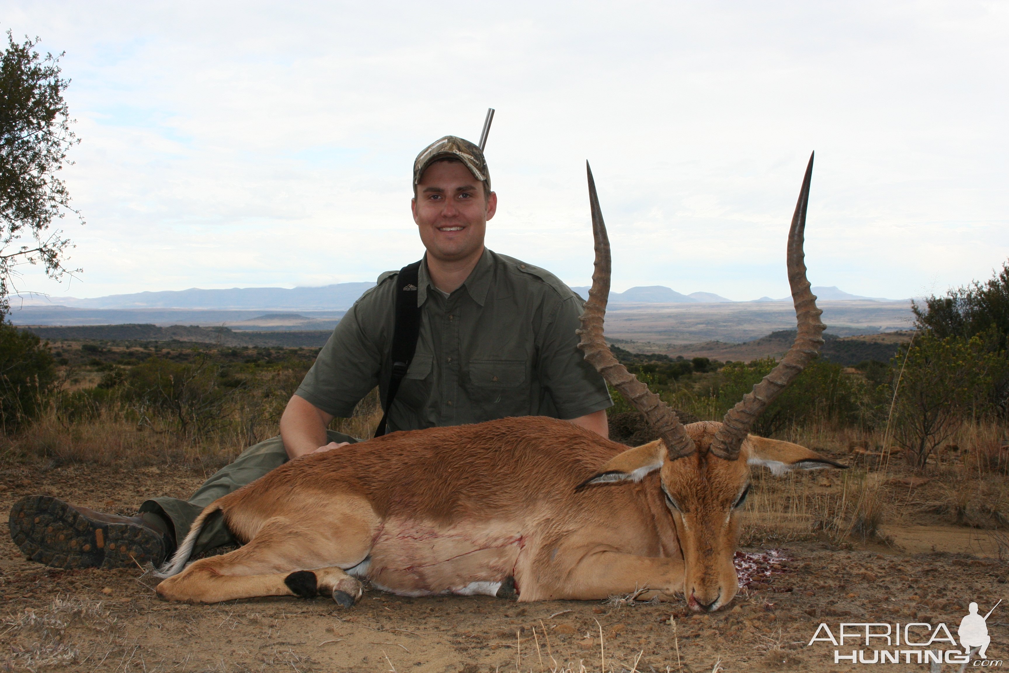 Impala Hunt South Africa