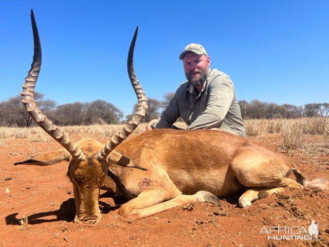 Impala Hunt South Africa