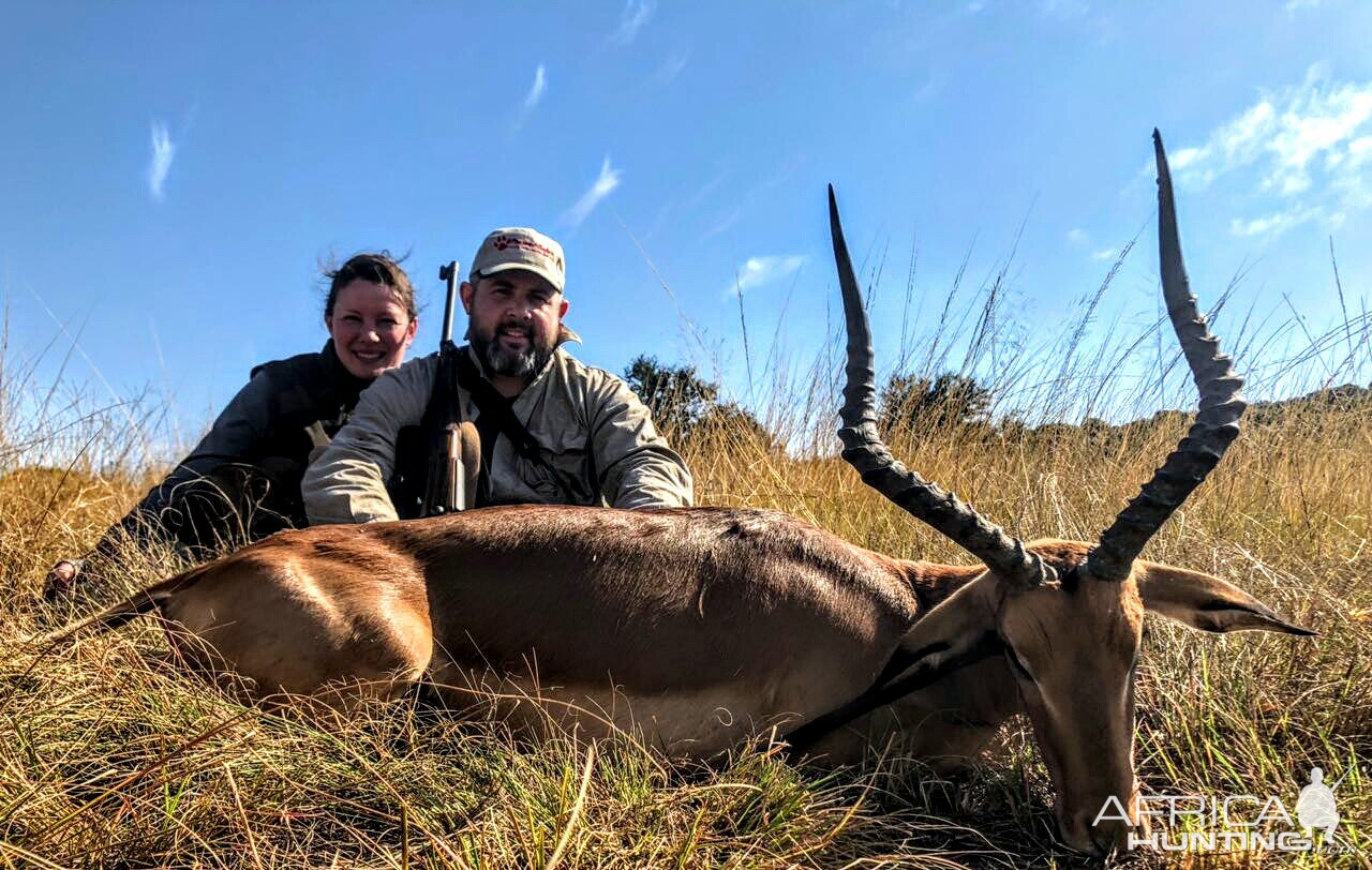 Impala Hunt South Africa