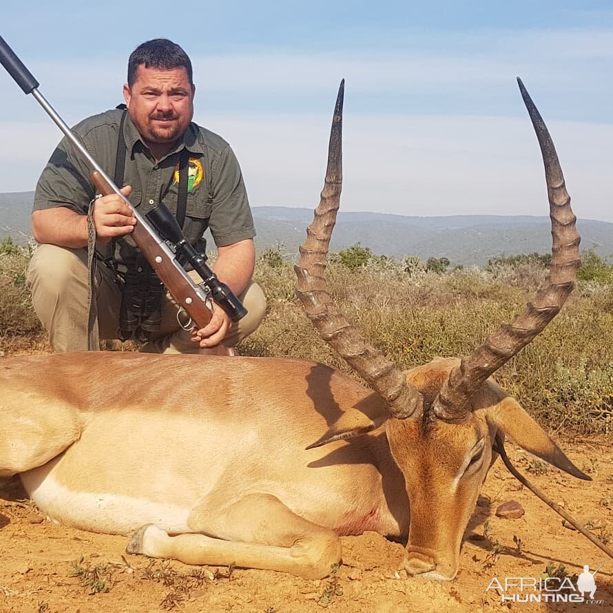 Impala Hunt South Africa