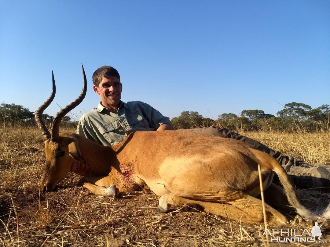 Impala Hunt Zambia