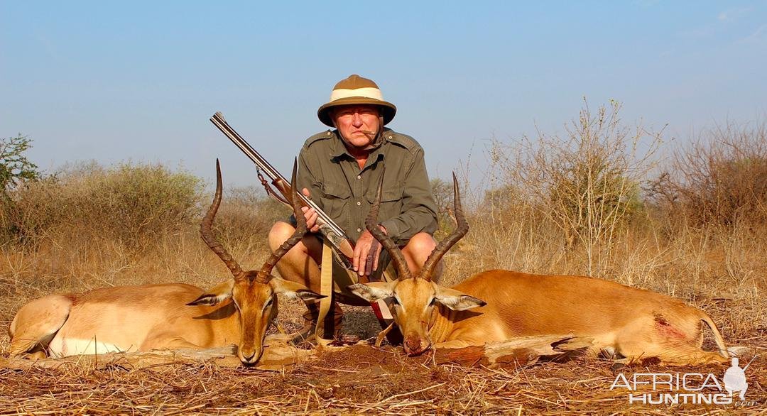 Impala Hunt Zimbabwe