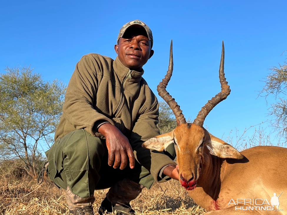 Impala Hunt Zimbabwe