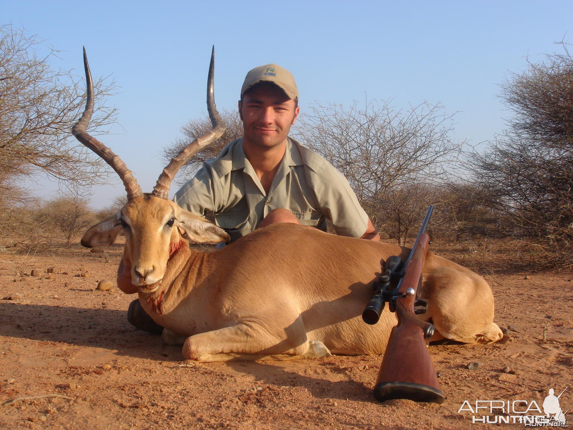 Impala hunt