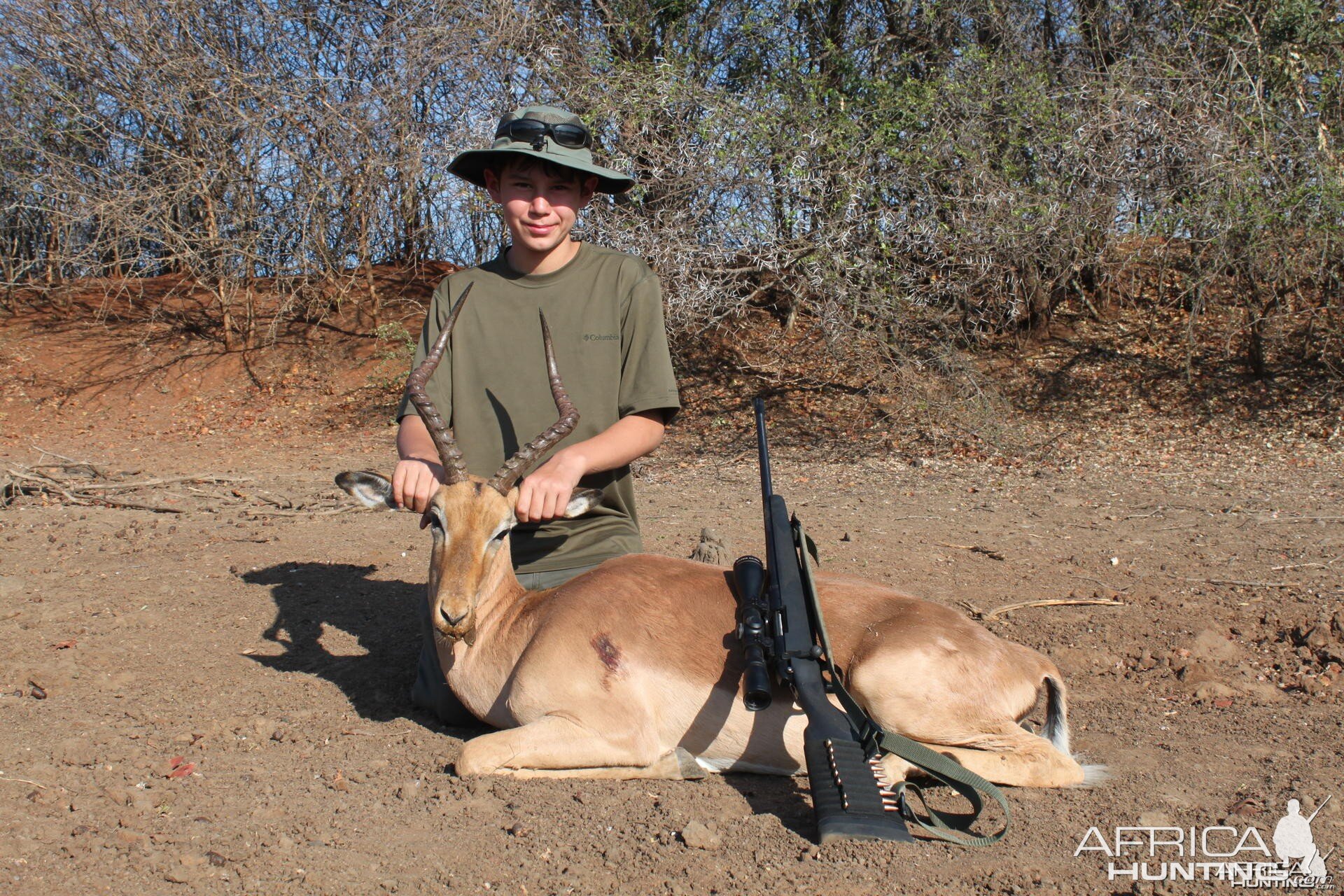 Impala hunted in Zimbabwe