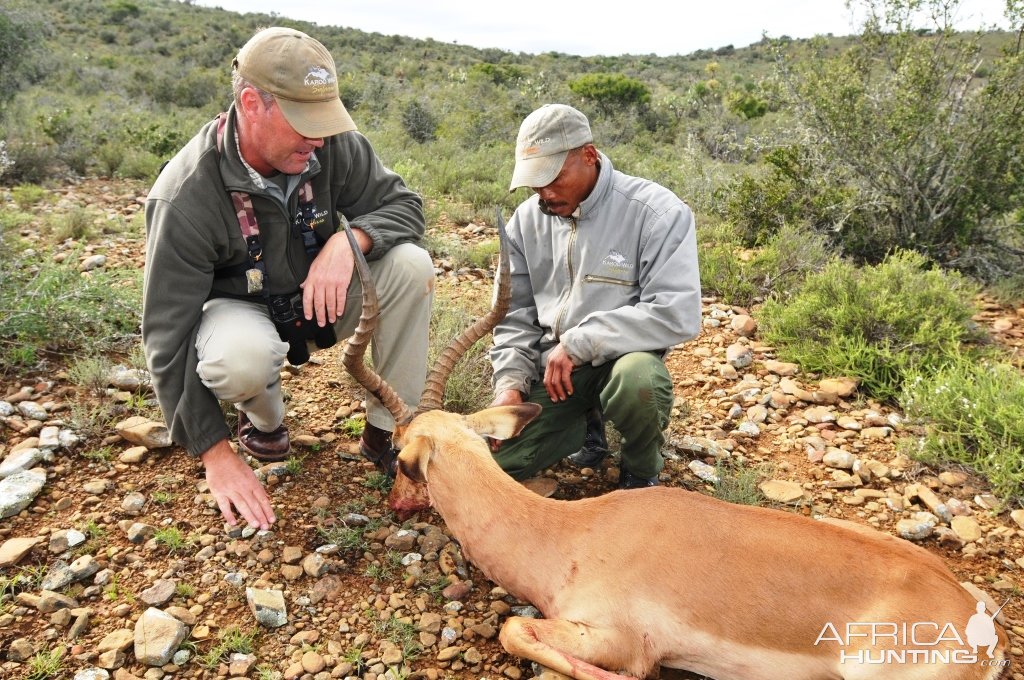 Impala Hunting Karoo South Africa