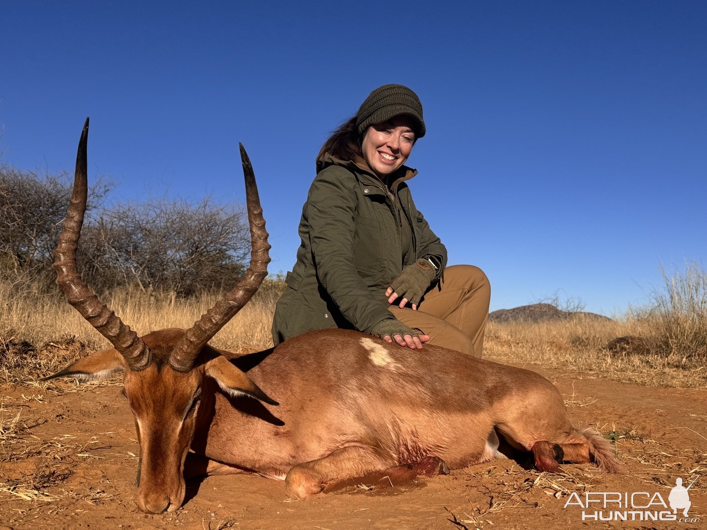 Impala Hunting Namibia