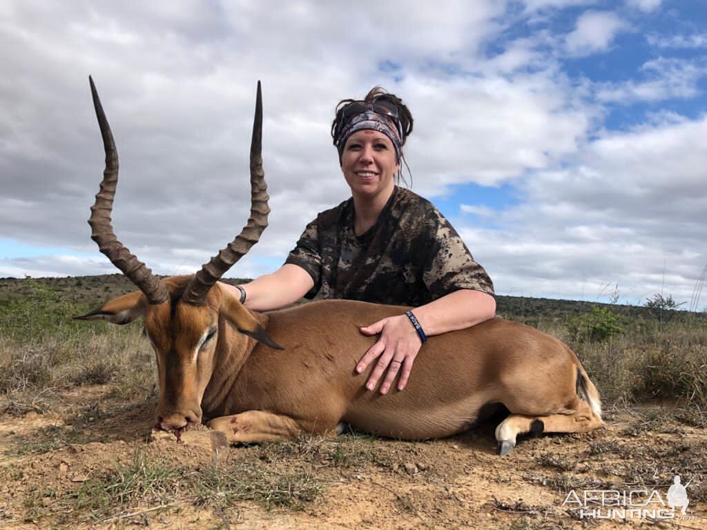 Impala Hunting South Africa