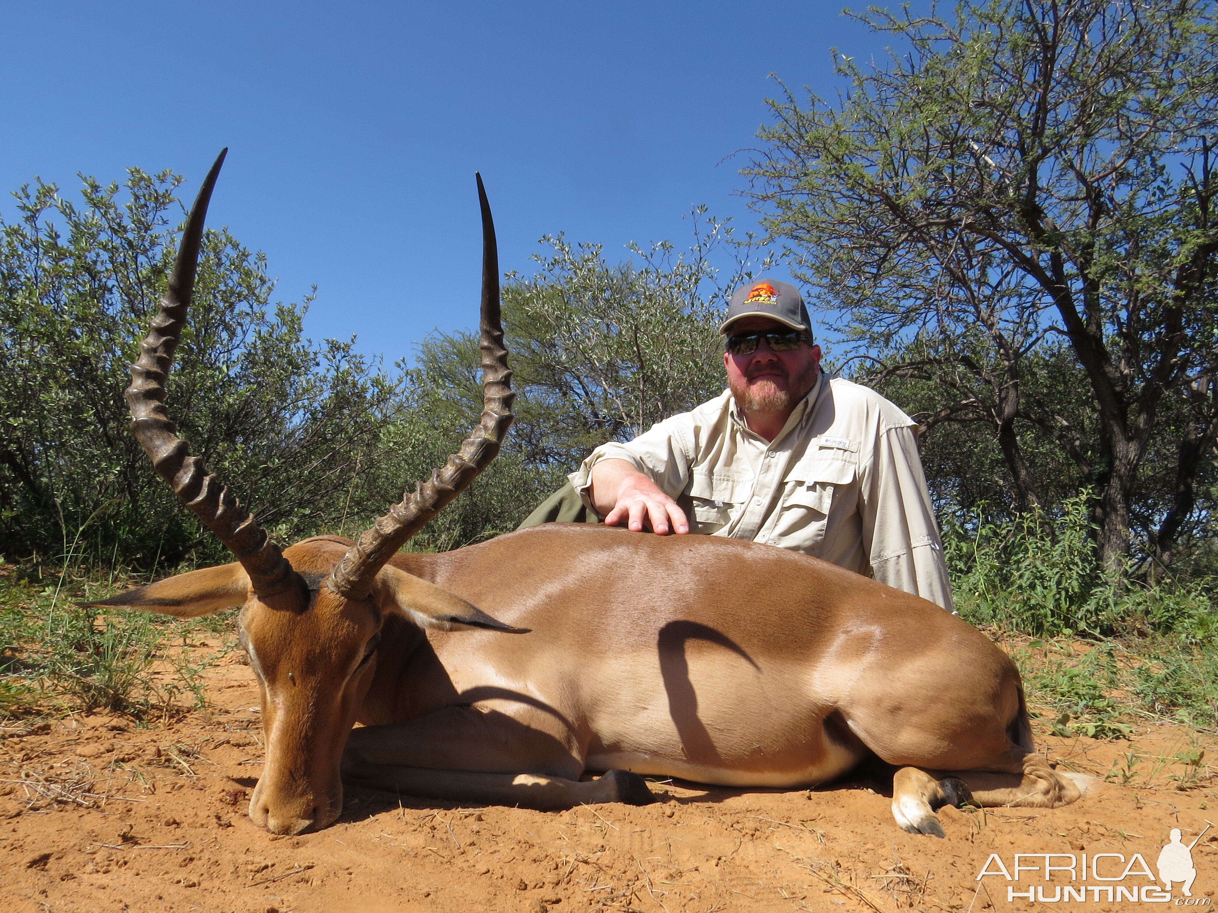 Impala Hunting South Africa