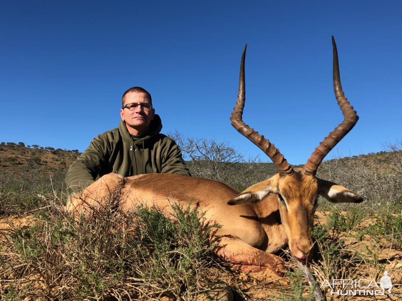 Impala Hunting South Africa