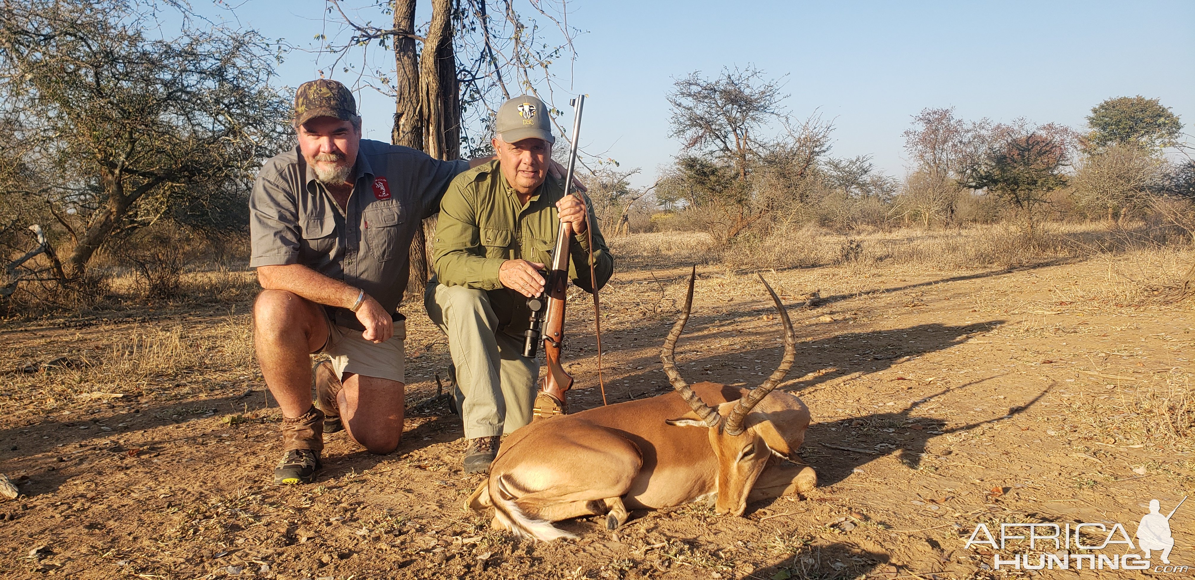 Impala Hunting Zimbabwe