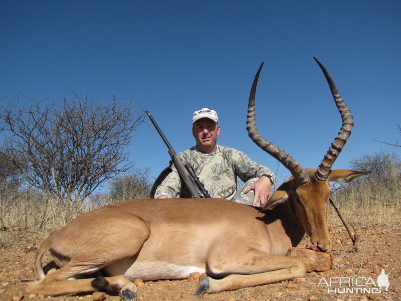 Impala Namibia Hunt