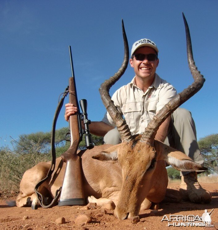 Impala ram I shot in Limpopo Province of SA