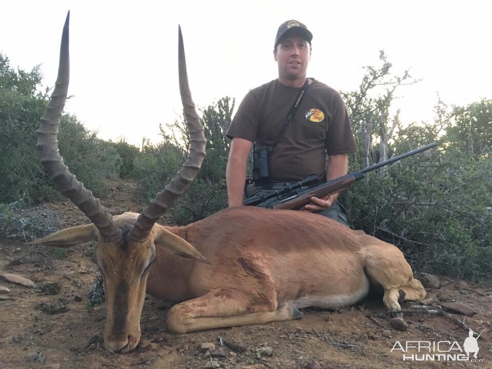 Impala South Africa Hunt