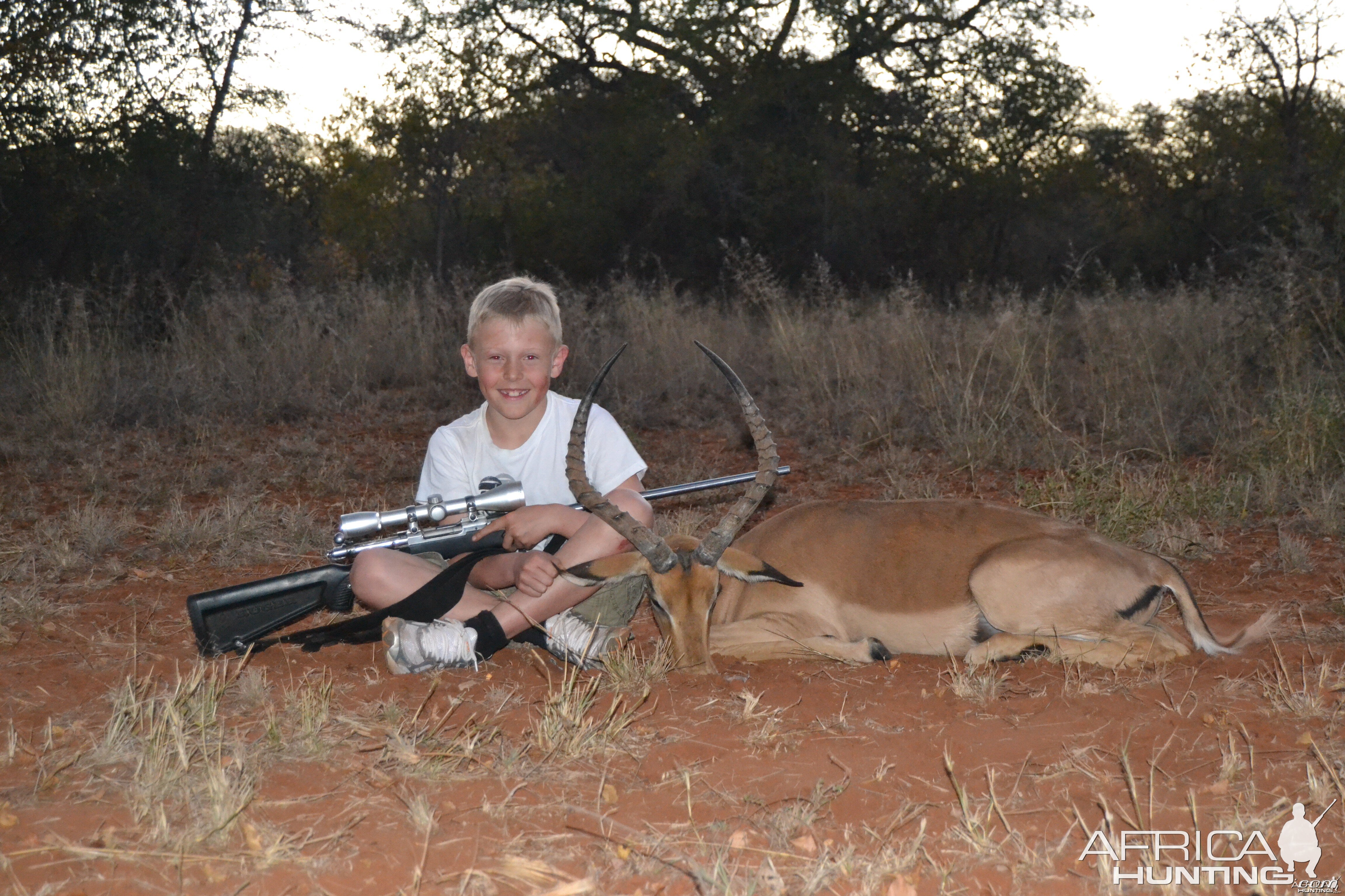 Impala