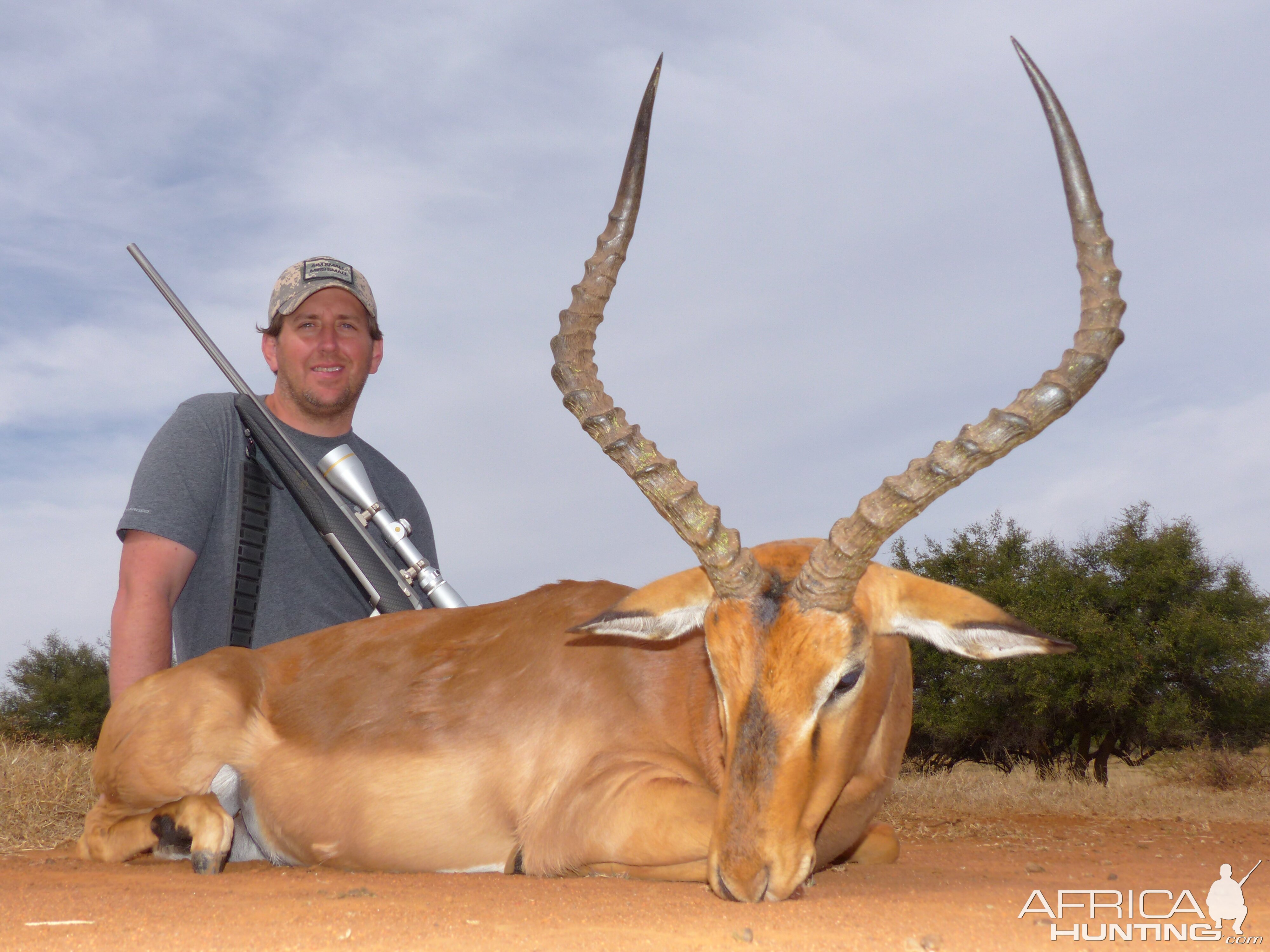 Impala