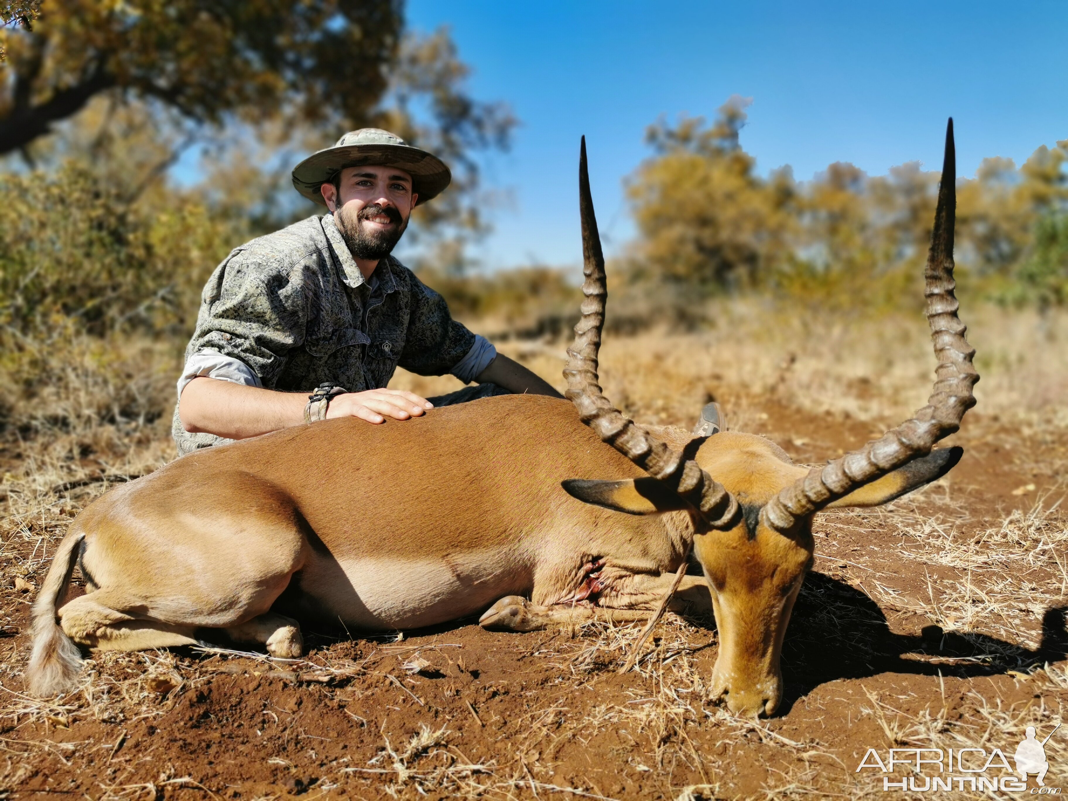 Impala