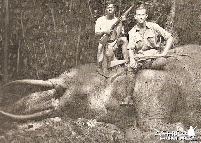 Indonesia Elephant