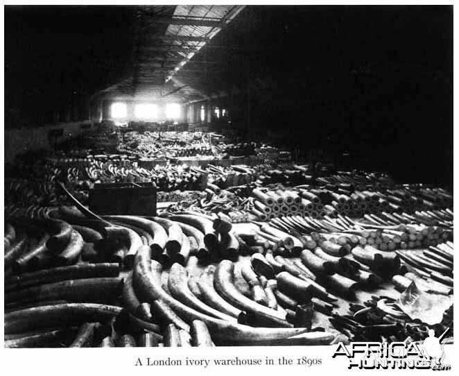 Ivory Warehouse London 1890