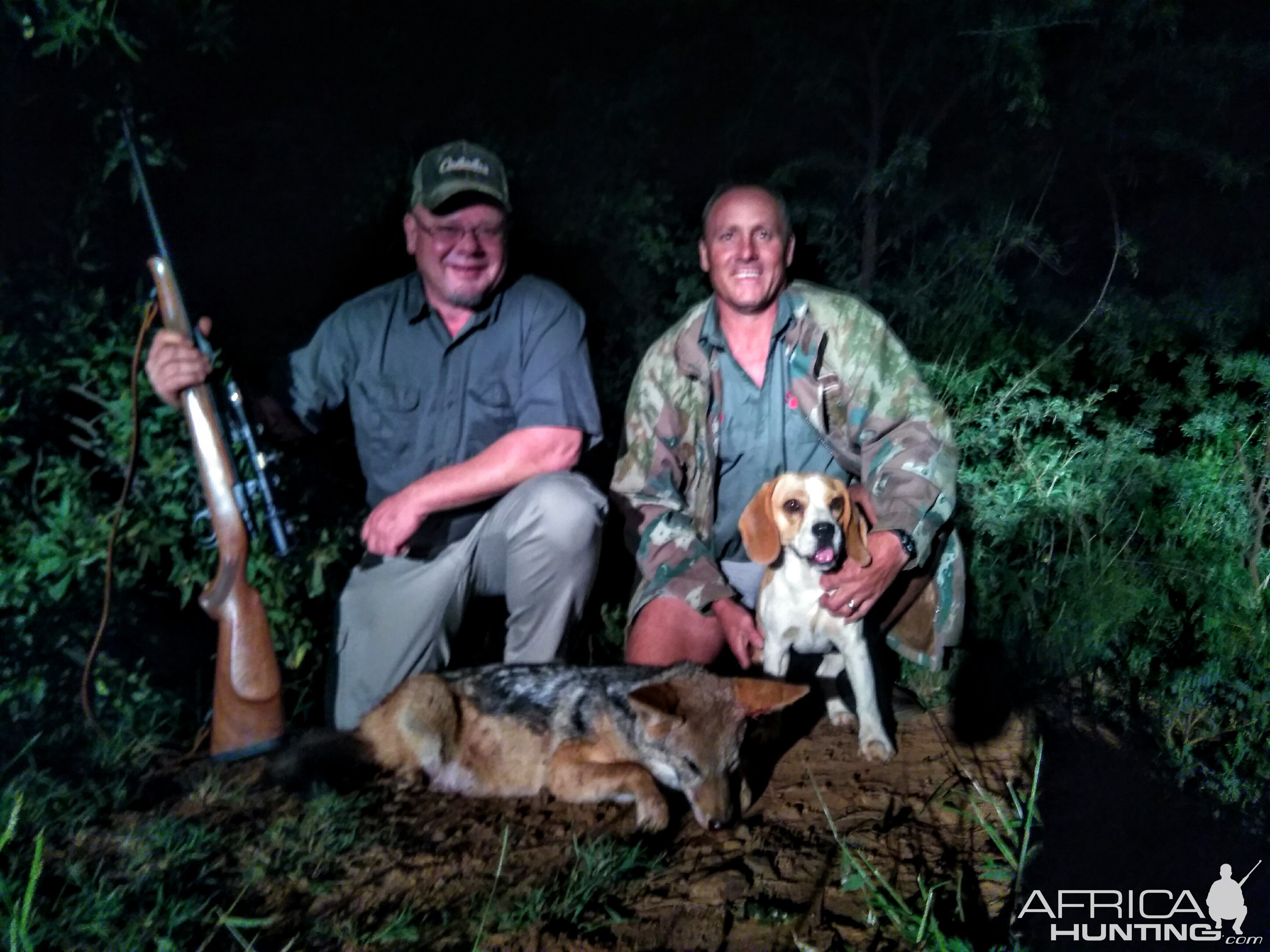 Jackal Hunt in South Africa